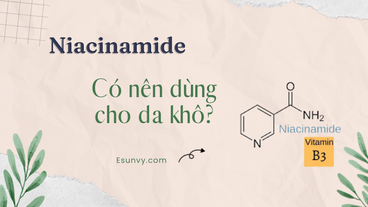 Da khô có nên dùng niacinamide? 1